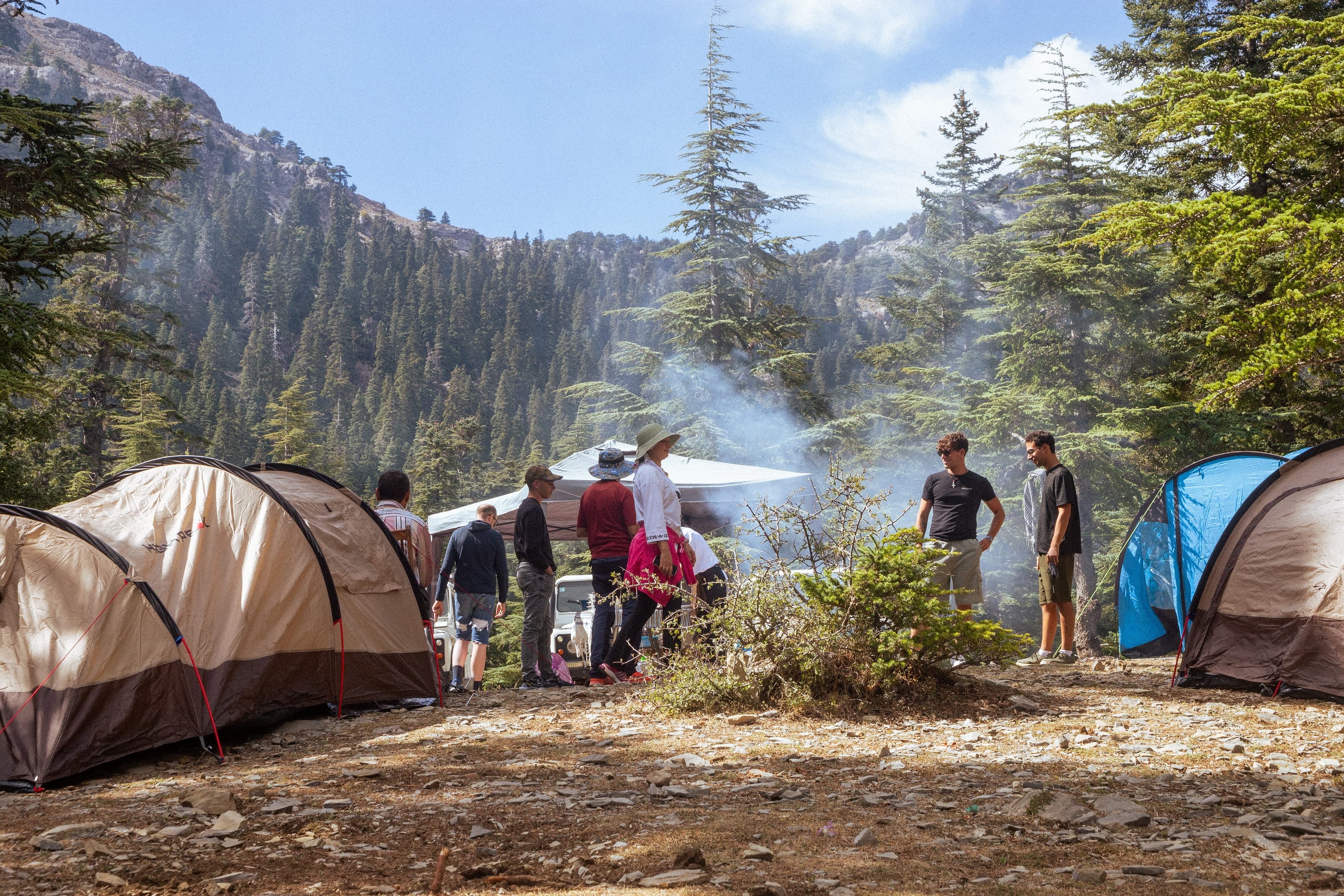 Le tende dello Yallah Camping montate tra i pini