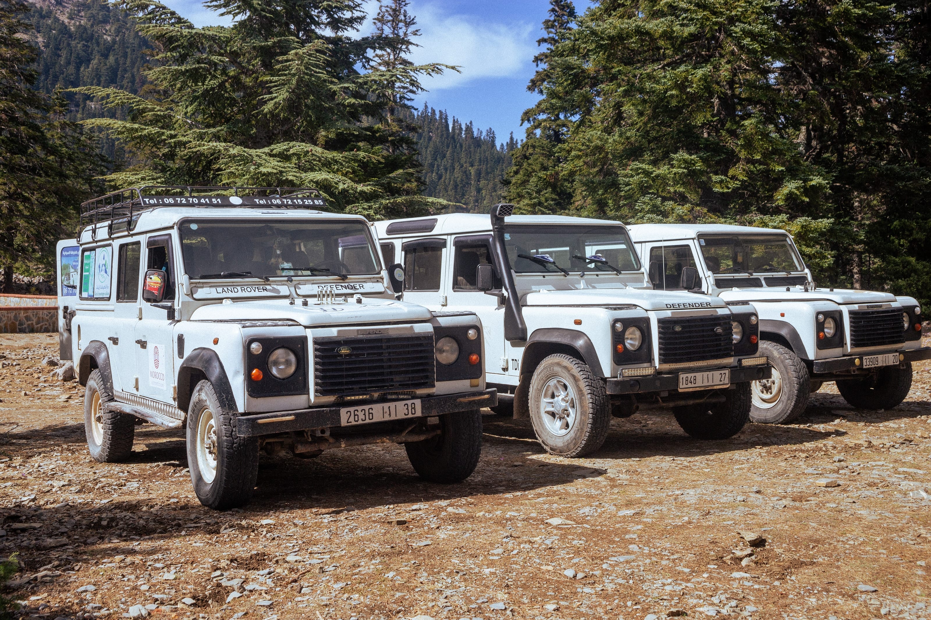 Due Land Rover parcheggiati tra i cedri